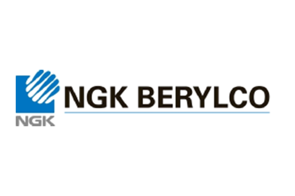 NGK BERYLCO FRANCE